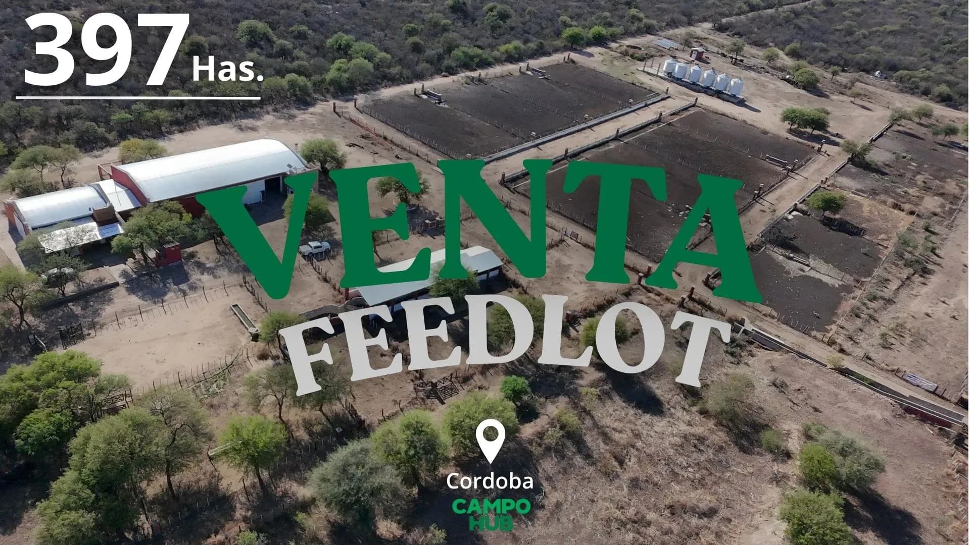 feedlot en venta